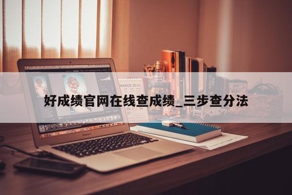 好成绩官网在线查成绩_三步查分法