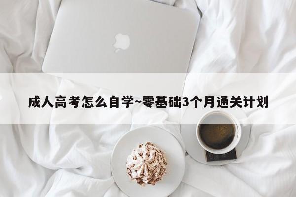 成人高考怎么自学~零基础3个月通关计划