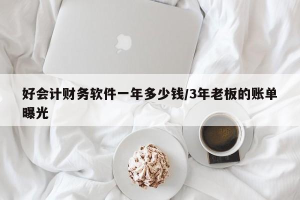 好会计财务软件一年多少钱/3年老板的账单曝光