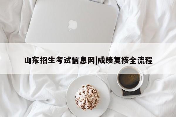 山东招生考试信息网|成绩复核全流程